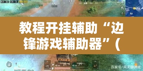 教程开挂辅助“边锋游戏辅助器”(透视挂)辅助透视教程