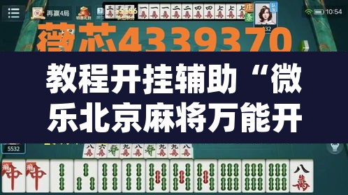 教程开挂辅助“微乐北京麻将万能开挂器	”(透视挂)辅助透视教程