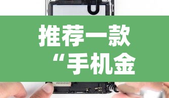 推荐一款“手机金花软挂神器	”(透视挂)辅助透视教程