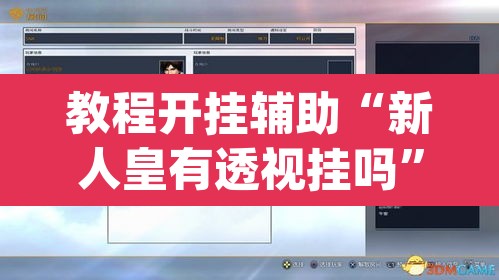 教程开挂辅助“新人皇有透视挂吗”(透视挂)辅助透视教程