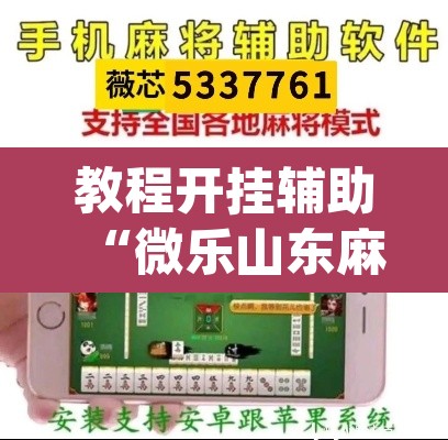 教程开挂辅助“微乐山东麻将免费挂”(透视挂)辅助透视教程