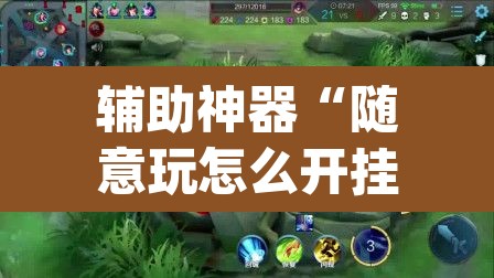 辅助神器“随意玩怎么开挂”(透视挂)辅助透视教程
