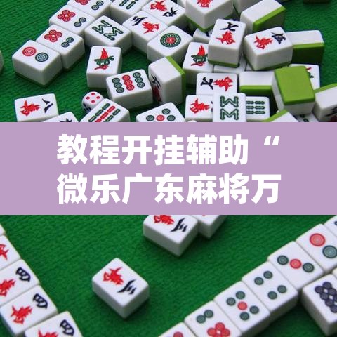 教程开挂辅助“微乐广东麻将万能开挂器”(透视挂)辅助透视教程