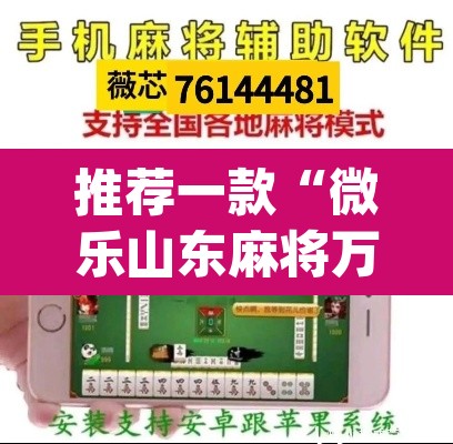 推荐一款“微乐山东麻将万能开挂器通用版	”(透视挂)辅助透视教程