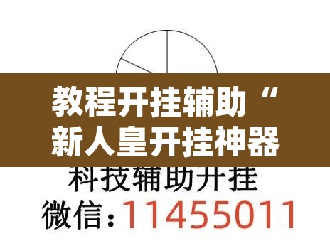 教程开挂辅助“新人皇开挂神器	”(透视挂)辅助透视教程