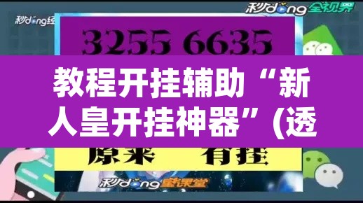 教程开挂辅助“新人皇开挂神器”(透视挂)辅助透视教程