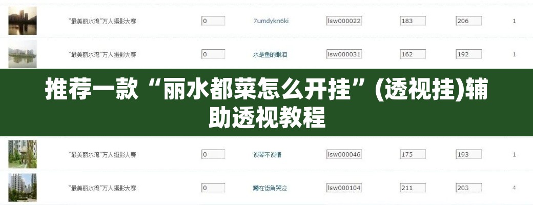 推荐一款“丽水都菜怎么开挂”(透视挂)辅助透视教程