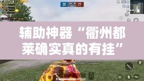 辅助神器“衢州都莱确实真的有挂”(透视挂)辅助透视教程