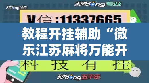 教程开挂辅助“微乐江苏麻将万能开挂器通用版”(透视挂)辅助透视教程
