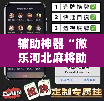 辅助神器“微乐河北麻将助赢神器购买	”(透视挂)辅助透视教程