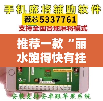 推荐一款“丽水跑得快有挂”(透视挂)辅助透视教程