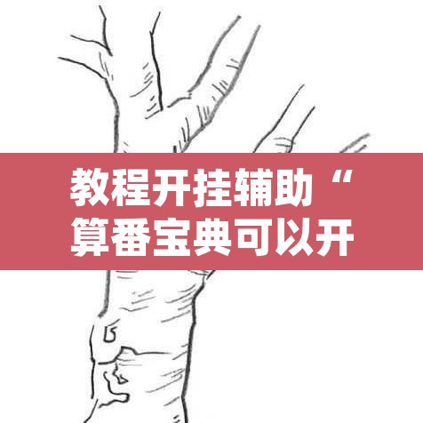 教程开挂辅助“算番宝典可以开挂吗	”(透视挂)辅助透视教程