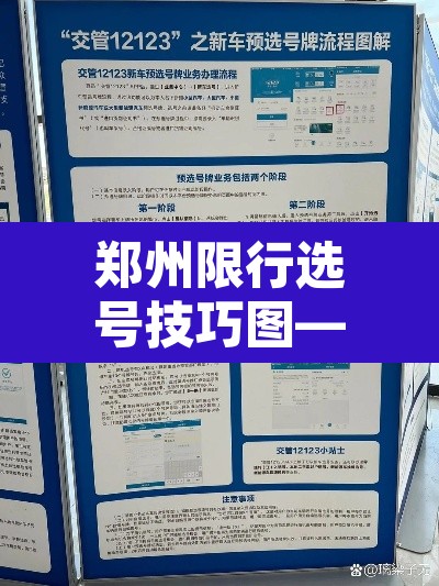 郑州限行选号技巧图—(郑州市限行车号) 郑州限行选号技巧图—(郑州市限行车号)