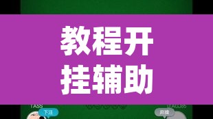 教程开挂辅助“wepoker德州局有挂吗”(透视挂)辅助透视教程