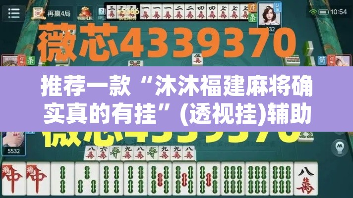 推荐一款“沐沐福建麻将确实真的有挂”(透视挂)辅助透视教程