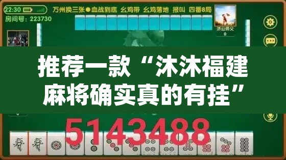 推荐一款“沐沐福建麻将确实真的有挂”(透视挂)辅助透视教程