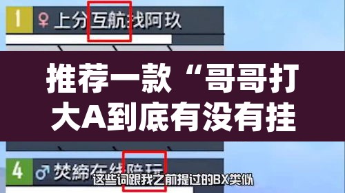 推荐一款“哥哥打大A到底有没有挂”(透视挂)辅助透视教程