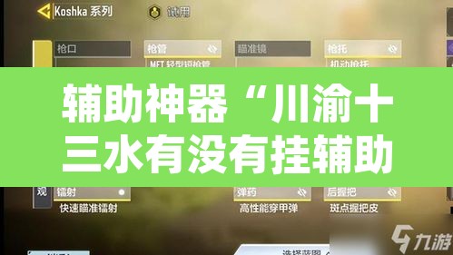 辅助神器“川渝十三水有没有挂辅助”(透视挂)辅助透视教程