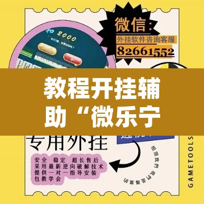 教程开挂辅助“微乐宁夏划水怎么设置才能赢”(透视挂)辅助透视教程