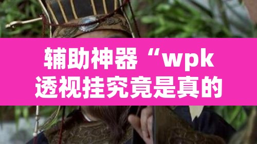 辅助神器“wpk透视挂究竟是真的吗”(透视挂)辅助透视教程