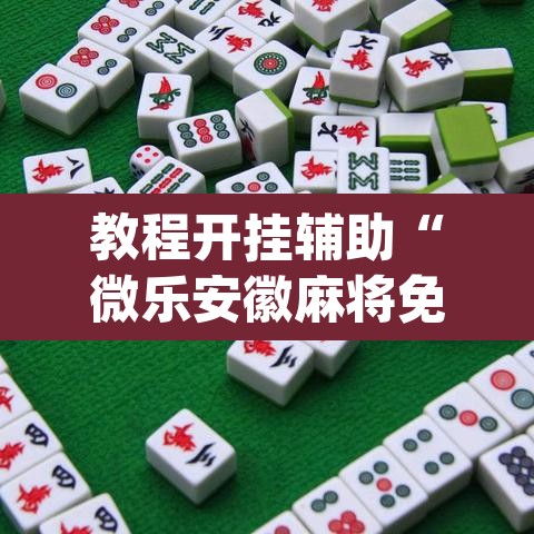 教程开挂辅助“微乐安徽麻将免费挂下载”(透视挂)辅助透视教程