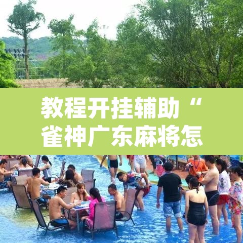 教程开挂辅助“雀神广东麻将怎么买挂”(透视挂)辅助透视教程