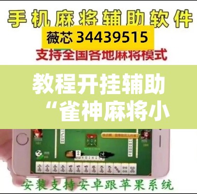 教程开挂辅助“雀神麻将小程序有挂吗”(透视挂)辅助透视教程