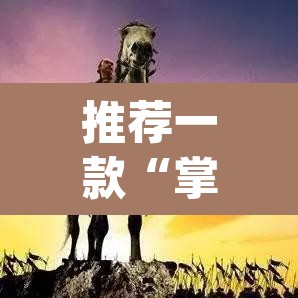 推荐一款“掌酷十三张辅助”(透视挂)辅助透视教程