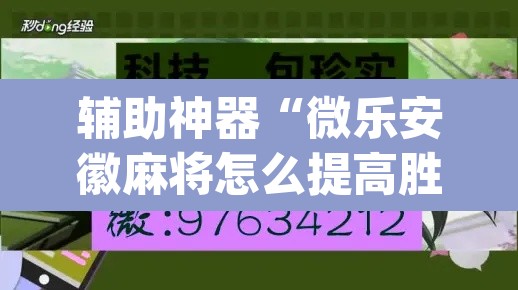 辅助神器“微乐安徽麻将怎么提高胜率”(透视挂)辅助透视教程