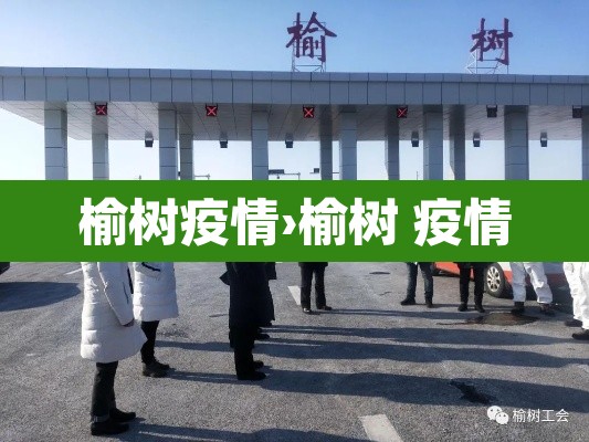 榆树疫情›榆树 疫情