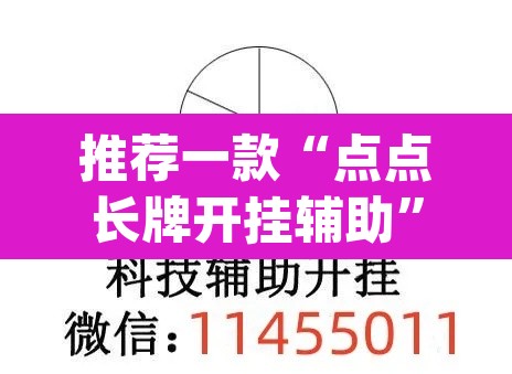 推荐一款“点点长牌开挂辅助”(透视挂)辅助透视教程