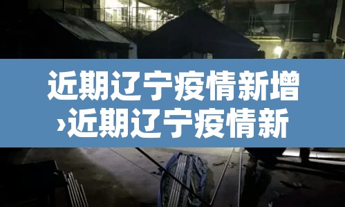 近期辽宁疫情新增›近期辽宁疫情新增病例