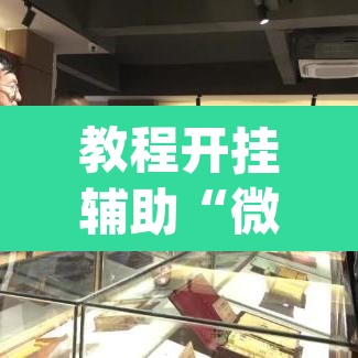教程开挂辅助“微乐广西麻将开挂版本软件”(透视挂)辅助透视教程