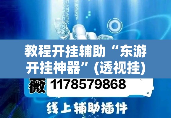 教程开挂辅助“东游开挂神器	”(透视挂)辅助透视教程