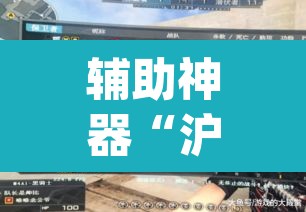 辅助神器“沪州大贰开挂神器”(透视挂)辅助透视教程