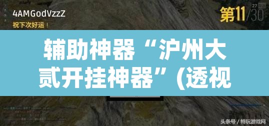 辅助神器“沪州大贰开挂神器”(透视挂)辅助透视教程