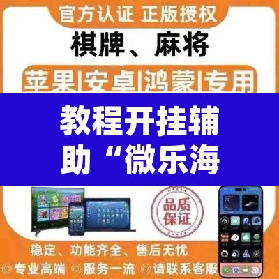 教程开挂辅助“微乐海南麻将要怎么开挂”(透视挂)辅助透视教程
