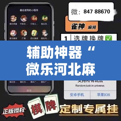 辅助神器“微乐河北麻将万能挂免费下载”(透视挂)辅助透视教程