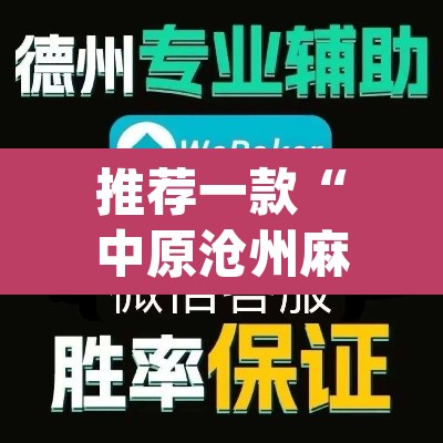 推荐一款“中原沧州麻将有挂吗”(透视挂)辅助透视教程