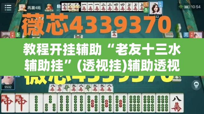 教程开挂辅助“老友十三水辅助挂”(透视挂)辅助透视教程