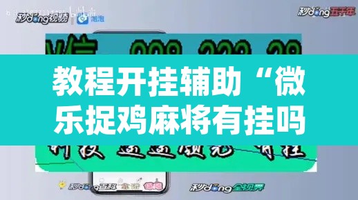 教程开挂辅助“微乐捉鸡麻将有挂吗”(透视挂)辅助透视教程