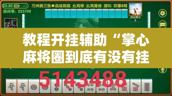教程开挂辅助“掌心麻将圈到底有没有挂	”(透视挂)辅助透视教程