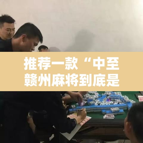 推荐一款“中至赣州麻将到底是有挂吗”(透视挂)辅助透视教程