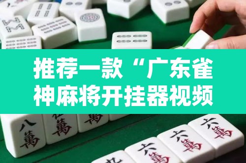 推荐一款“广东雀神麻将开挂器视频教程”(透视挂)辅助透视教程