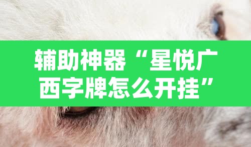 辅助神器“星悦广西字牌怎么开挂	”(透视挂)辅助透视教程