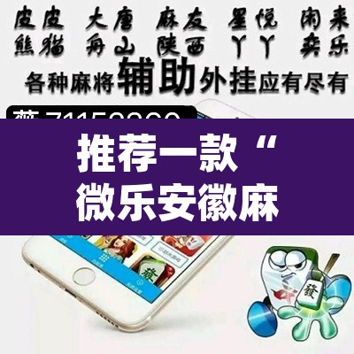 推荐一款“微乐安徽麻将万能开挂器”(透视挂)辅助透视教程
