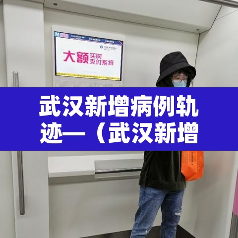 武汉新增病例轨迹—（武汉新增病例报告）