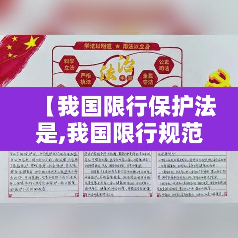 【我国限行保护法是,我国限行规范选择】 【我国限行保护法是,我国限行规范选择】