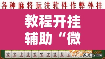 教程开挂辅助“微乐广西麻将万能开挂器通用版”(透视挂)辅助透视教程