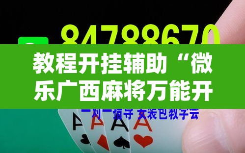 教程开挂辅助“微乐广西麻将万能开挂器通用版”(透视挂)辅助透视教程